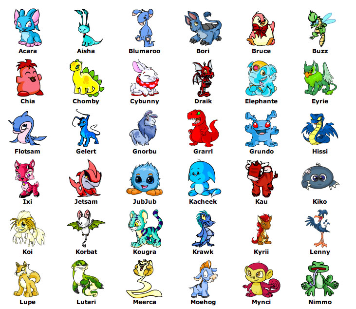 How to create a neopets account